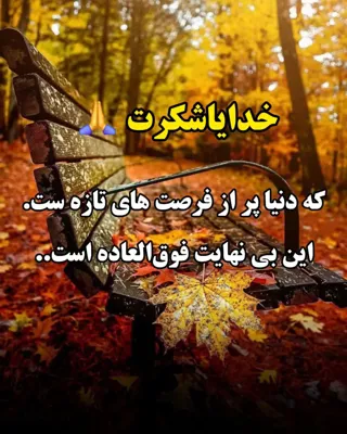 زیور گُرگی

 شلمزاری


