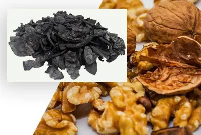 کربن پوست گردو