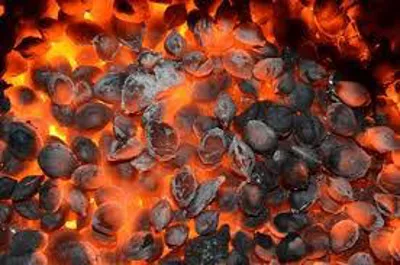 کربن هسته زرد آلو 