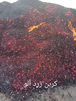 کربن هسته زردآلو 