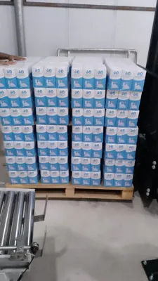 Refined iodized salt -Sarrami's salt packing factory