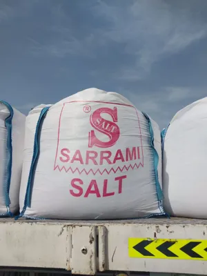 Refined iodized salt -Sarrami's salt packing factory