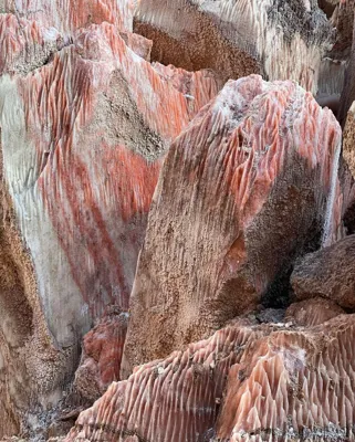 Georgian salt packing factory