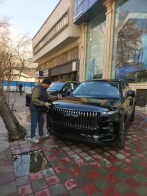 تشخیص رنگ خودرو در تهران