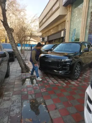 تشخیص رنگ خودرو سیار در طهران