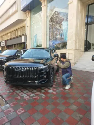 تشخیص رنگ خودرو سیار در تهران