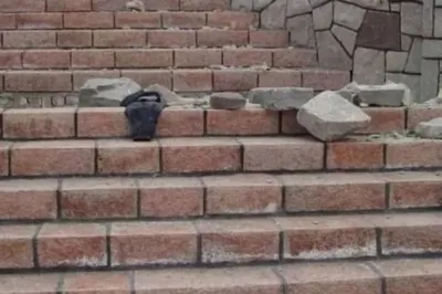 پیمانکاری سنگ لاشه و مالون