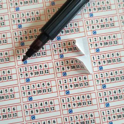 چاپ و تبلیغات تارا