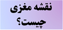 بهترین دکتر نقشه مغزی کرمان