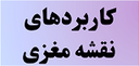 بهترین دکتر نقشه مغزی کرمان