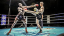 باشگاه رزمی MMA در اصفهان