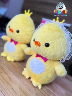 جوجه کلاه توری    قیمت :۶٫۸۰٫۰۰۰    تعداد: ۲۰ عدد