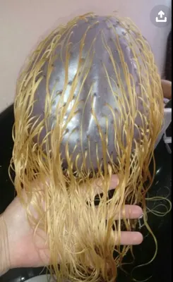 آرایشگری در منزل ساری