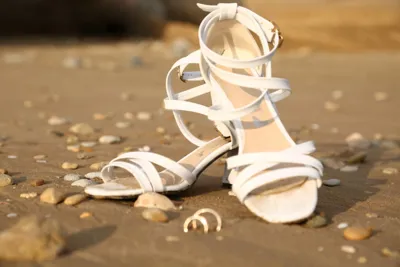 عکاس حرفه ای در شیراز