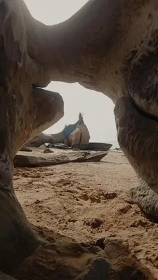 فیلم بردار حرفه ای در شیراز