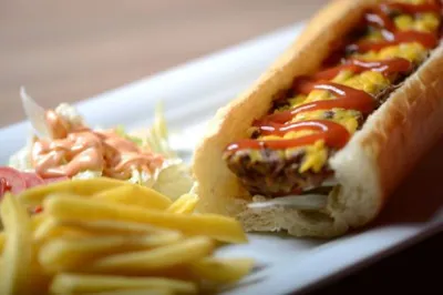 فست فود ایرانا