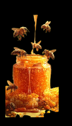 خرید عسل گلپايگان