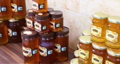 عسل گلپايگان شایسته 