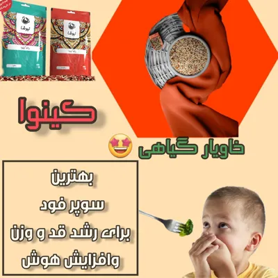 سید هاشم خلیل پورسیدی