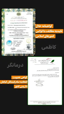  کاظمی کارشناس و درمانگر 