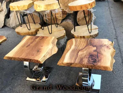 حسین مومن نیارانکوهی