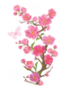 گلفروشی در یاسوج