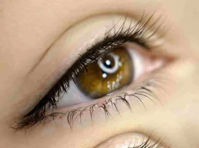 بهترین خدمات فیبروز در برازجون