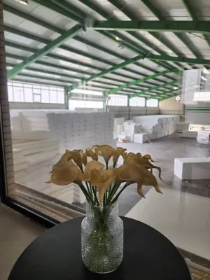 فوم سقفی یزد