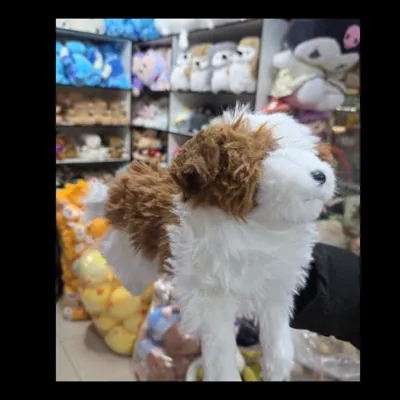 فروشگاه تکفروشی عروسک