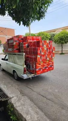 فروش کولر در ساری