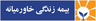 کارگزاری مویرگ