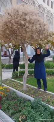 بیمه البرز در کاشان