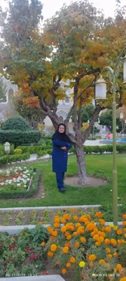 بیمه البرز در کاشان