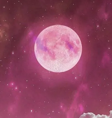 اکسسوری ماهک