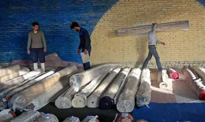 قالیشویی ارزان در یافت آباد تهران 