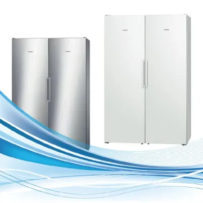 یخچال دو قلو بوش