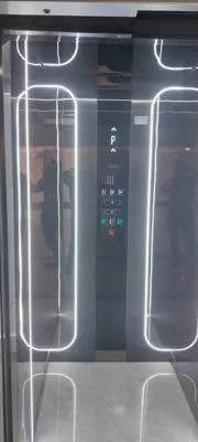 انواع اسانور در سامان