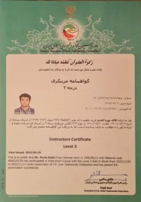 آکادمی تکواندو رعد
-استاد پوریا کلینی