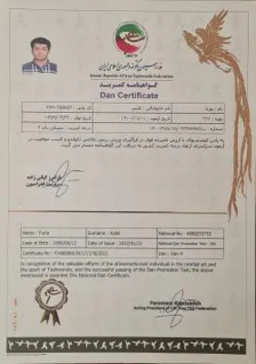 آکادمی تکواندو رعد
-استاد پوریا کلینی