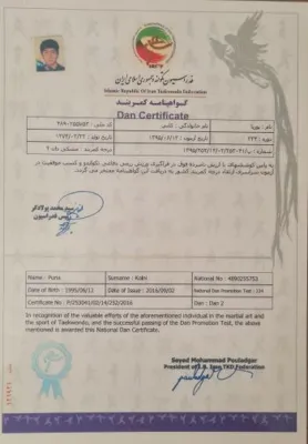 آکادمی تکواندو رعد
-استاد پوریا کلینی