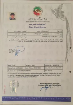 آکادمی تکواندو رعد
-استاد پوریا کلینی