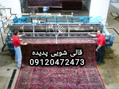 قالی شویی پدیده 