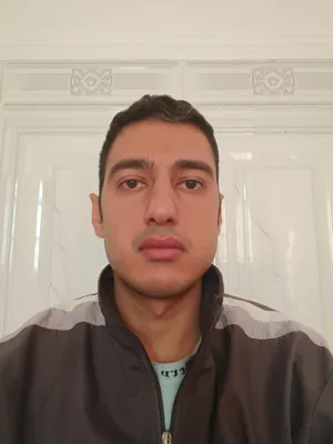 محمد مهدی حسنی