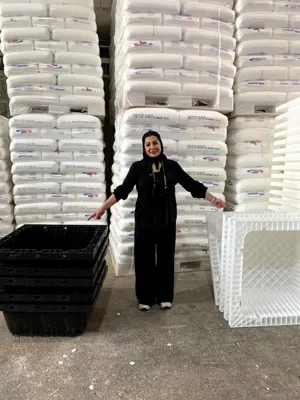 خرید قالب وافل دوطرفه 