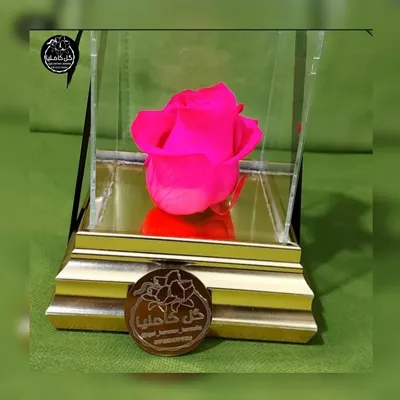 گل فروشی در پارک مطهری کرمان