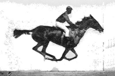 باشگاه اسب سواری شیراز