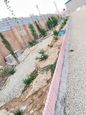 محیط باشگاه