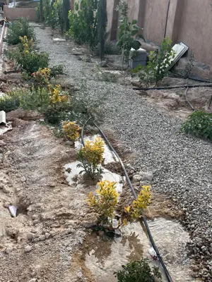 باشگاه اسب سواری شیراز