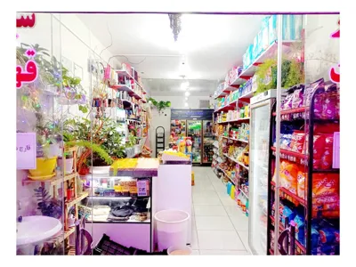 سوپرمارکت دلوین&nbsp;