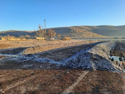خرید بهترین کمپوست ایران